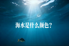 天容海色本澄清
