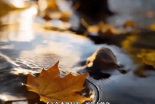 从清理到共生：守护河流清澈，共筑生态家园