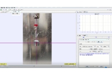 运用Tracker软件绘制验证竖直弹簧振子振动图像