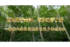 恐惧源于未知，守护始于了解——探秘八桂宝藏植物的生物多样性