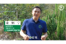 亚热带植物探秘系列—密蒙花