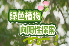 绿色植物的向阳性探索