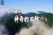 自然奥秘-神奇的石柱