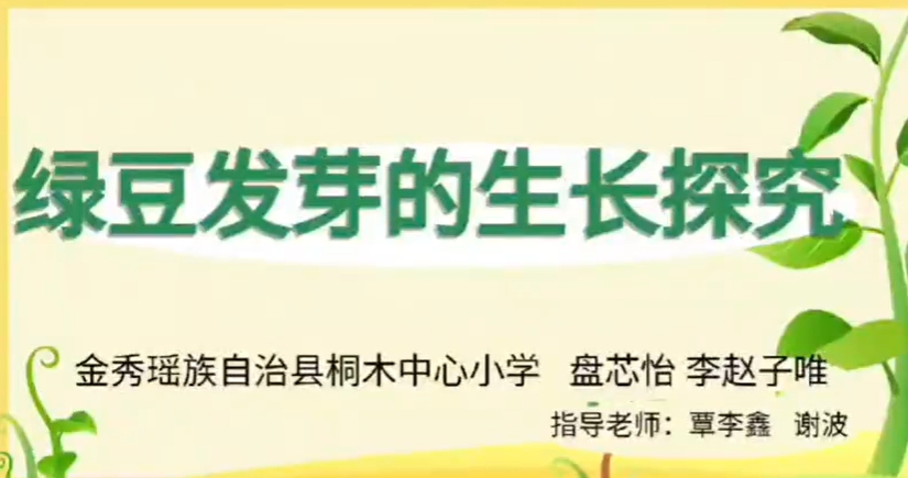 绿豆发芽的生长探究