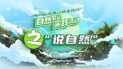 神奇的“糖包子”