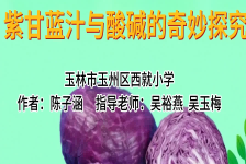 紫甘蓝汁与酸碱的奇妙探究