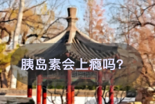 窃听后宫之胰岛素会上瘾吗？