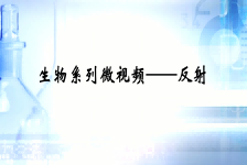 生物微视频-反射