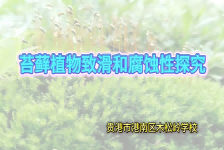 苔藓植物致滑和腐蚀性探究