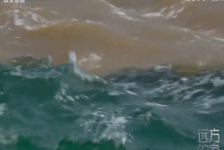 为什么黄河入海口会出现黄蓝分界线