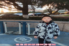 青岛市树雪松科普