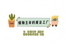 植物生命的魔法工厂