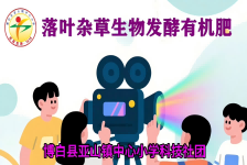 落叶杂草生物发酵有机肥