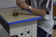 植物光合作用产生有机物