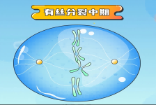 Pick你心中的最佳打包工