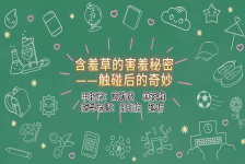 含羞草的害羞秘密——触碰后的奇妙