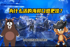 【科学“齐”遇记】为什么活的海鲜口感更佳？