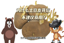 【科学“齐”遇记】为什么土豆发芽后不建议食用？