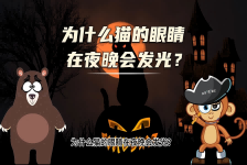 【科学“齐”遇记】为什么猫的眼睛在夜晚会发光？