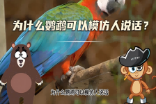 【科学“齐”遇记】为什么鹦鹉可以模仿人说话？