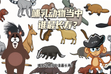 【科学“齐”遇记】哺乳动物当中谁最长寿？