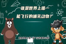 【科学“齐”遇记】谁是世界上唯一能飞行的哺乳动物？