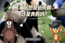 【科学“齐”遇记】熊猫居然是近视眼，这是真的吗？