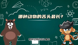 【科学“齐”遇记】哪种动物的舌头最长？