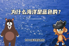 【科学“齐”遇记】为什么海洋是蓝色的？