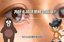 【科学“齐”遇记】为什么切洋葱时会流泪？