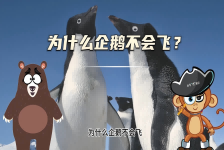 【科学“齐”遇记】为什么企鹅不会飞？