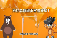 【科学“齐”遇记】为什么蜂蜜不容易变质？