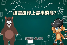 【科学“齐”遇记】谁是世界上最小的鸟？