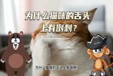 【科学“齐”遇记】为什么猫咪的舌头上有倒刺？