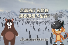 【科学“齐”遇记】企鹅为什么能在极寒环境下生存？