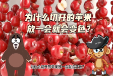 【科学“齐”遇记】为什么切开的苹果放一会就会变色？