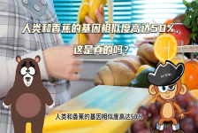 【科学“齐”遇记】人类和香蕉的基因相似度高达50%，这是真的吗？