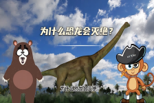 【科学“齐”遇记】为什么恐龙会灭绝？