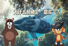 【科学“齐”遇记】为什么鲸鱼会“唱歌”？