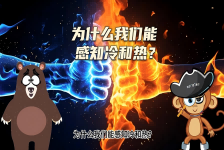 【科学“齐”遇记】为什么我们能感知冷和热？