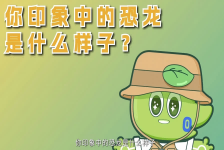 科研中国梦-追踪恐龙飞翔之路-徐星